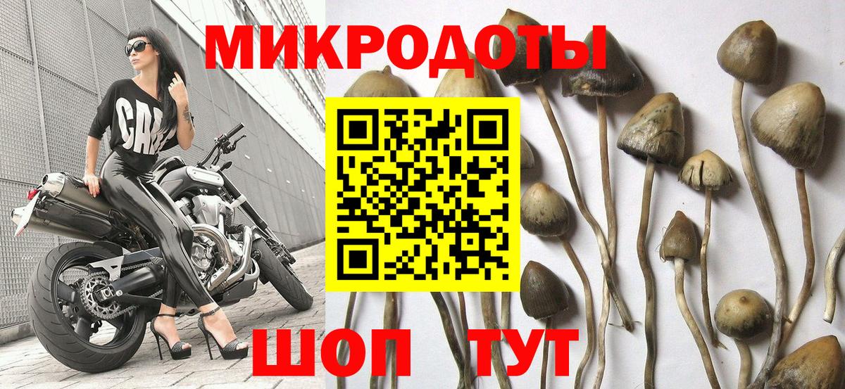 Псилоцибиновые грибы прущие грибы Грязи